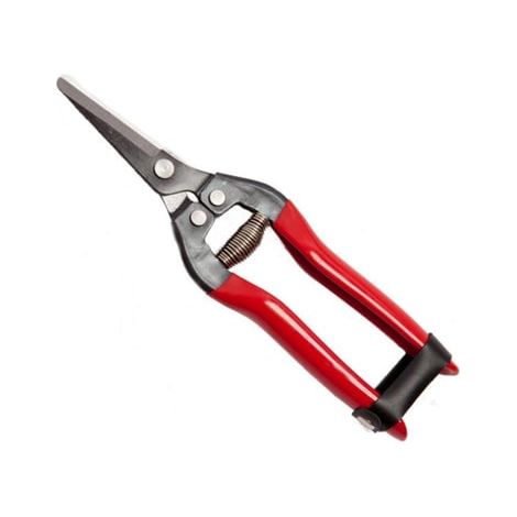 FORBICI COGLIUVA 19 FALCI 19 cm - FALCI