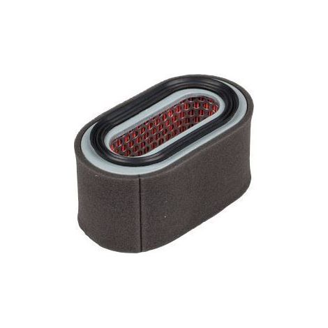 Filtro aria 147 x 75 x 73 mm trattorino rasaerba compatibile ROBIN 231-32601-07
