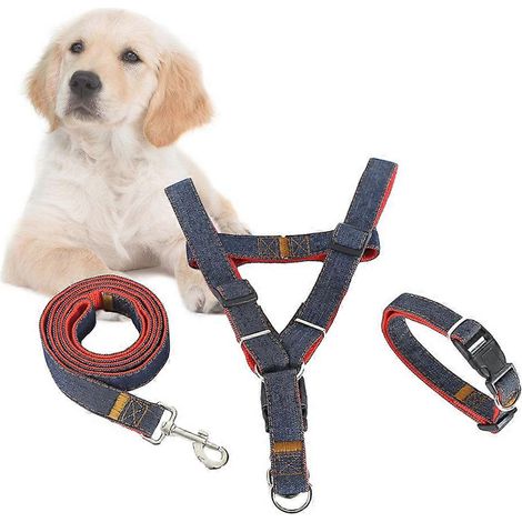 Correa de adiestramiento para mascotas, conjunto de tres piezas con correa para el pecho (2 unidades), color rojo. (1/5)