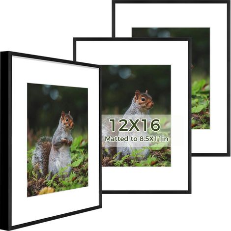 Lot de 3 cadres photo en métal de 30,5 x 40,6 cm avec passe-partout ivoire, pour photo de 21,6 x 27,9 cm ou affiche de 30,5 x 40,6 cm, cadre en aluminium avec verre véritable (noir) (1/5)