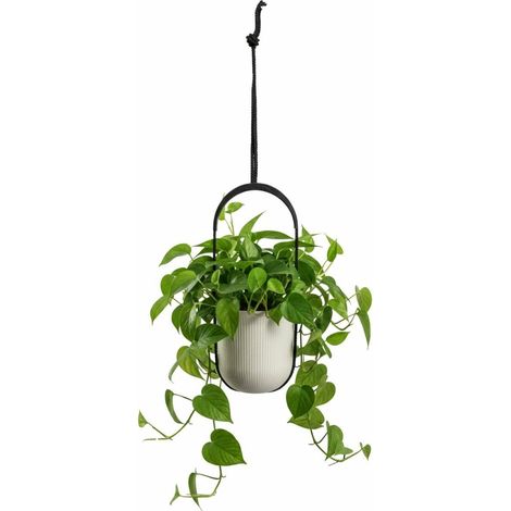 AERA HANG Hängepflanzgefäß, recycelt, beige, 17,9 cm