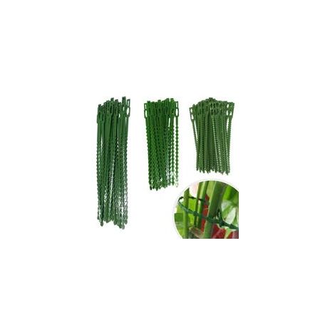 Lot de 160 attaches pour plantes, liens réglables, soutien flexible pour vos arbustes et plantes de jardin (3 tailles différentes)