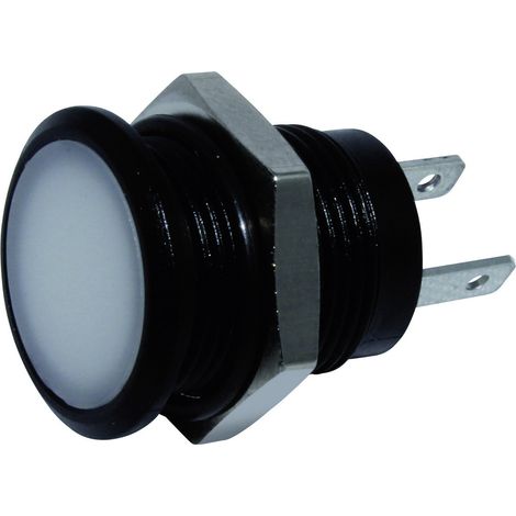 Signal Construct SKED12614 LED-Signalleuchte Weiß    24 V/DC    1240 mcd