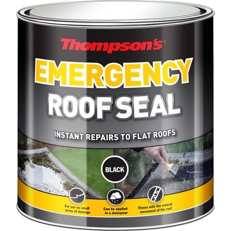 Ronseal 32219 Thompson's Emergency Roof Seal 1 litre RSLTERS1L (1/4)