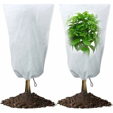 Voile d'hivernage,Housse Hivernage Pour Plantes 2 Pcs Sac De Protection Contre Le Gel Des D'hiver Non Tissée Réutilisable Avec Cordon Serrage D'extérieur (1/4)
