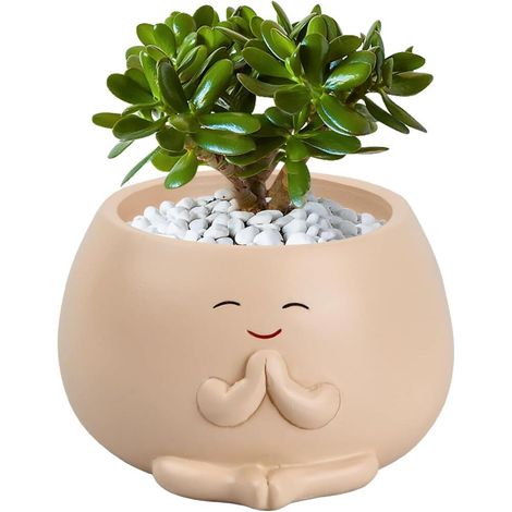 Pot de Fleurs de Jardin Pots Succulents Smile Face transportable avec Trou de Drainage Pots de (1/5)
