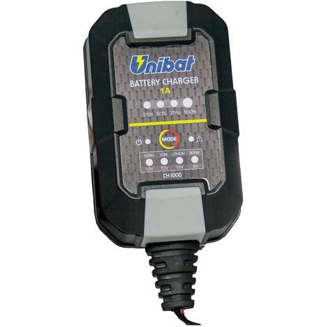 CARICABATTERIA E MANTENITORE AUTOMATICO 6/12 V