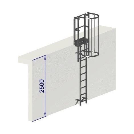 Echelle a crinoline hauteur à franchir 2,5 mètres avec arceaux Norme NF 85-016