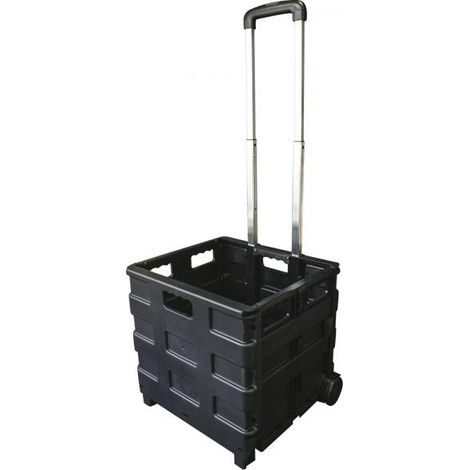 CORA 000120817 Carrello Portatile Pieghevole Trolly Carry (1/5)