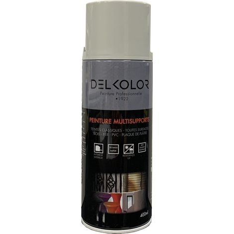 Delkolor Peinture en Aérosol - Couleurs RAL - 400ml  Couleur: RAL 7035 GRIS CLAIR