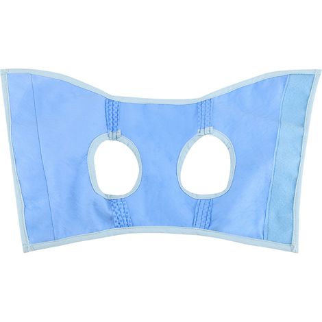 Gilet Rafraîchissant Pour Chien - En Polyester Léger et Respirant - Pour Chiens de Petite Taille - XS à L - Bleu (1/5)