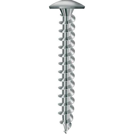 Vis de penture empreinte Torx acier zingué blanc entièrement filetées, dimensions 6 x 25 en boîte de 250 pièces - VISWOOD