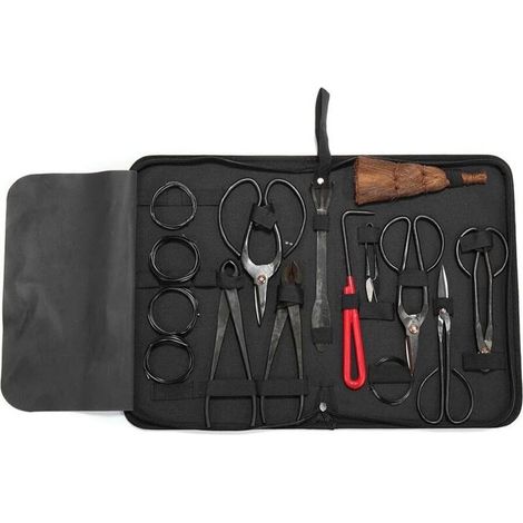 Lot de 10 Outils de Jardin pour bonsaï en Acier Carbone avec étui en Nylon (1/4)
