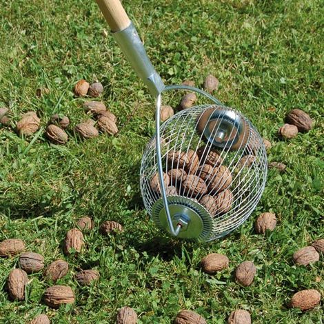 Bola Recogedora de Nueces - Lucifer