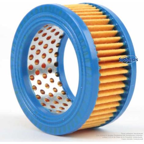 Filtre à air pour moteur Echo 39730, 130300 (1/5)