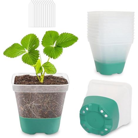 12 bandejas de cultivo,12 etiquetas,8 cm,con base de silicona,bandejas de cultivo cuadradas de plástico,azul verdoso
