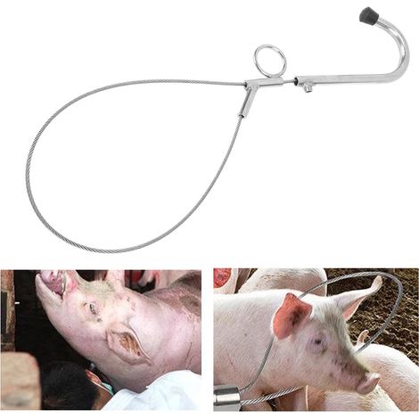 [Schweinefänger] Professioneller Schweinefänger, Edelstahl 304, sicherer Griff für landwirtschaftliche Betriebe (1/5)