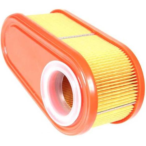 Filtre à air pour Briggs & Stratton 795066 (1/5)