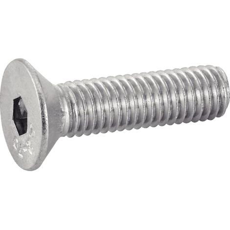 Vis Tête fraisée six pans creux ACTON ISO 10642 10x20 Inox A2 - Boîte 25 (1/3)