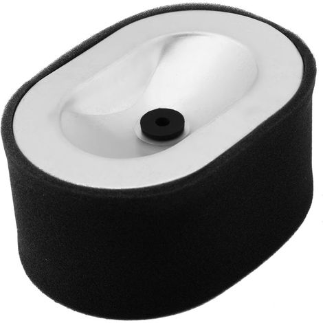 Filtre à carburant de rechange en acier inoxydable pour moteur de générateur diesel 186 noir, 1 pièce (1/5)