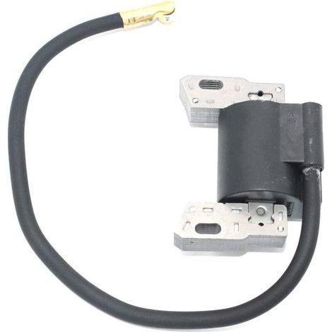 SEPSHA Coil d'allumage magnéto armature compatible avec Briggs et Stratton 591420 793281 793352 792594 395489 398593 496914 H330