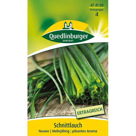 Quedlinburger Saatgut – Ciboulette « Naomy » – Graines d'herbes aromatiques, vivace, variété productive à fin arôme d'oignon (1/2)