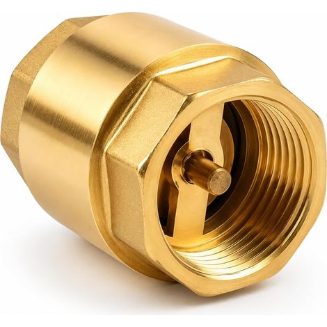 Clapet anti-retour en laiton 1" IG vers AG pour pompe et conduite d'eau (1/5)