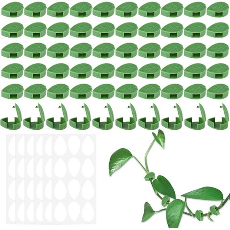 Pack de 60 Support Plante Grimpantes, Support Autocollant pour Plantes, Attache Cable Mural, Accessoires pour Plantes, Fabriqué en Matériau Durable, Idéal pour Petites Plantes (1/5)