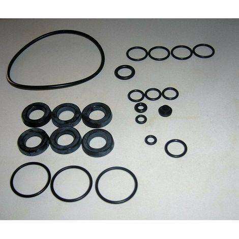 KIT OR ORING POMPA IDROPULITRICE ANNOVI REVERBERI 42438 ORIGINALE