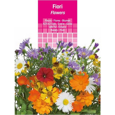 SEMI PER PRATO UNIVERSALE fior di zinnia lilliput nanna