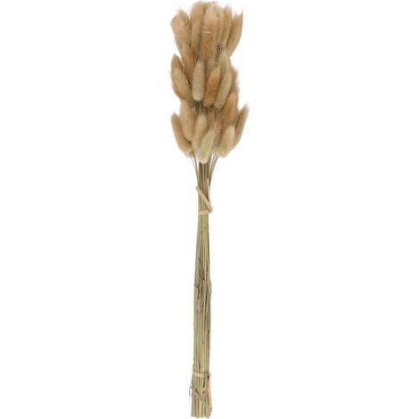 50 Pièces Bouquet de Fleurs Séchées Naturelles Couleurs Crues pour Décoration Mariage Herbe Queue de Lapin (1/4)