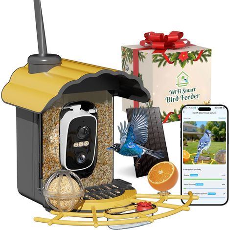 Mangiatoia intelligente per uccelli con telecamera 2K: mangiatoia per uccelli da esterno wireless con riconoscimento automatico delle specie di uccelli tramite IA, alimentazione solare, streaming vide (1/5)