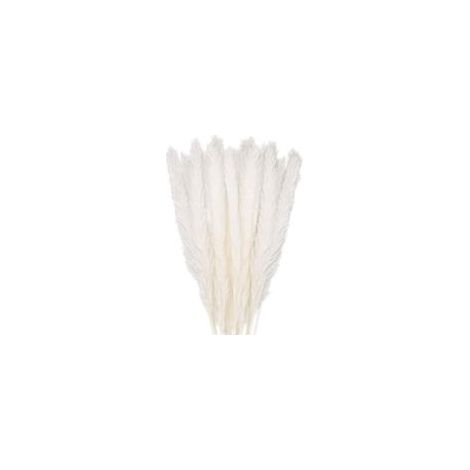 30 pcs Herbe de la Pampa, 58 cm Naturel Pampa Fleur Bouquet de Fleurs Sechees pour Vases, Blanc Boho Decoration Chambre Maison Salon, Mariage Photographier Table Décoration (1/5)