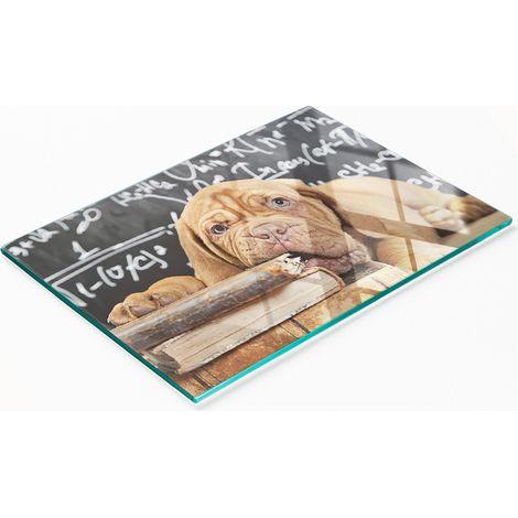 Libro de cartón decorativo de cristal para cocina "Mordiscos de perro" 80x52 cm (1/5)