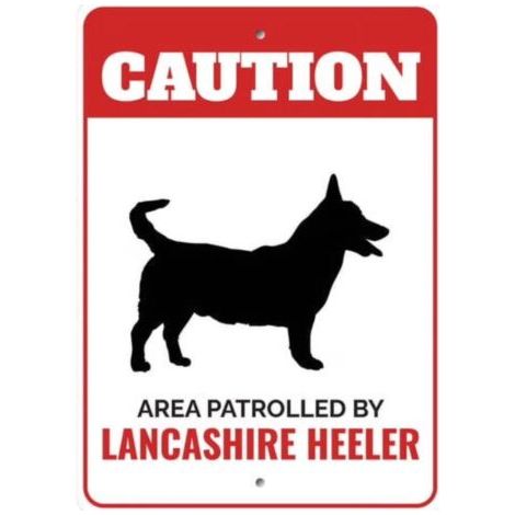 Metallisches Warnschild für Lancashire Heeler – Dekorative Hundeschilder 20 x 30 cm, Perfektes Geschenk für Hundeliebhaber und Besitzer von Heeler-Hunden (1/4)