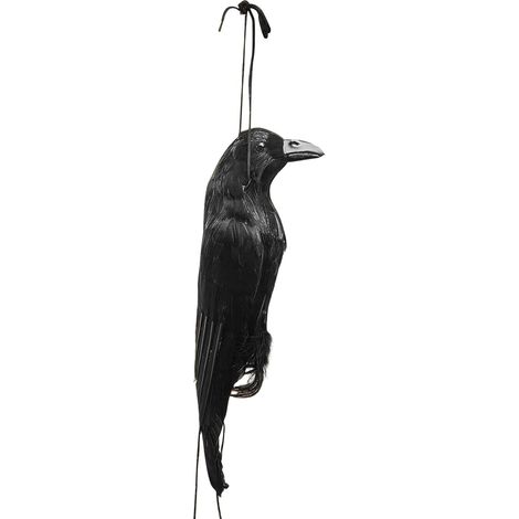 Leurre Corbeau pour Attirer Les Oiseaux - Appât de Chasse Décor Jardin (1/5)