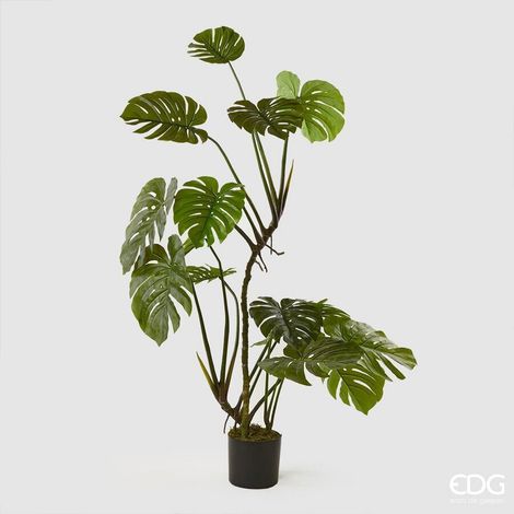 EDG Enzo De Gasperi Monstera Pianta con Vaso Artificiale H 155 Cm Green (1/2)