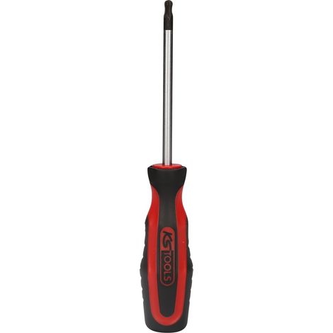 ERGOTORQUEplus Schraubendreher Torx mit Kugelkopf, T30 (1/5)
