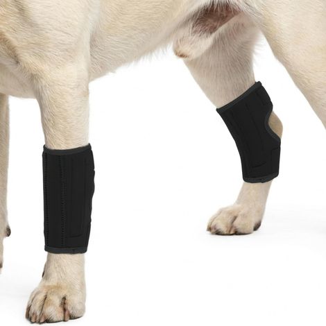 2 Pièces Protège-Poignets de Jambe Chien, Genou Genouillère Soutien Chien Arrière Patte Avant Jarret Articulé Protège pour La Protection Contre Les Blessures Et L'entorse Noir L (1/5)