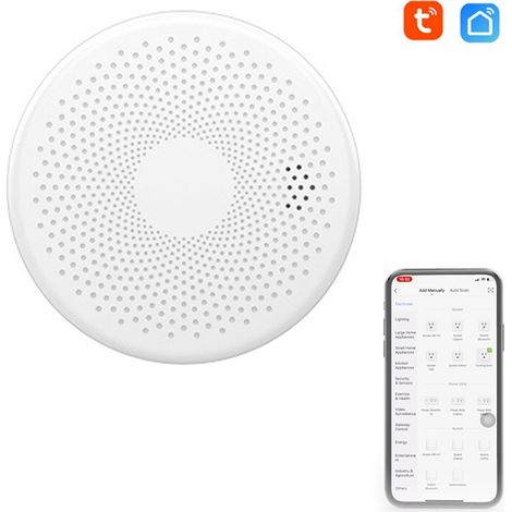 2-in-1 WLAN-Smart-CO- und Rauchmelder – Akustischer und optischer Alarm – Weißes ABS – Tuya-kompatibel (1/5)