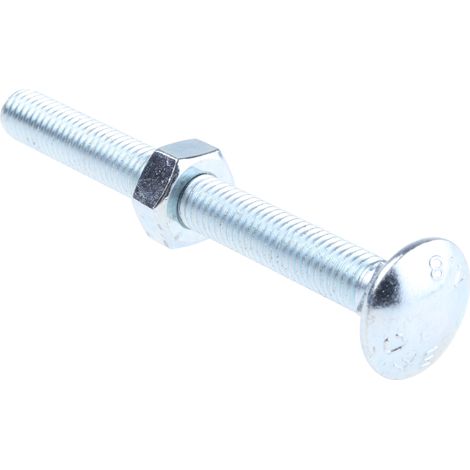 Boulon Acier, , Zingage brillant, M10 x 100mm ( Prix pour Sachet de 10 ) (1/3)