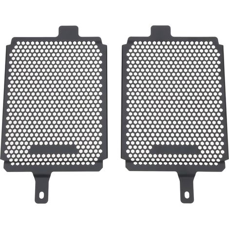 Lot de 2 Grilles de Protection pour Radiateur de Moto Compatible avec BMW R1200GS R1250GS LC ADV 2013-2019 (1/5)