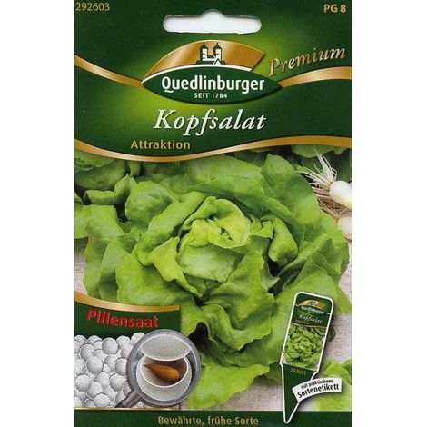 Quedlinburger Kopfsalat Attraktion Pillensaat - Premium Gemüsesamen (1/2)