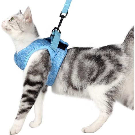 juego de arnés y correa, sistema 360°, malla transpirable, ultraligero, para gatos y perros pequeños, paseos (1/5)