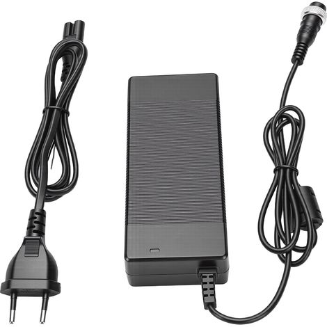 Chargeur de batterie Li-ion haute efficacité pour scooter électrique 42 V 2 A avec tête aviation (1/5)