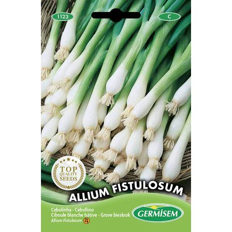 Germisem Allium Fistulosum Semi di Erba Cipollina 2 g (1/2)