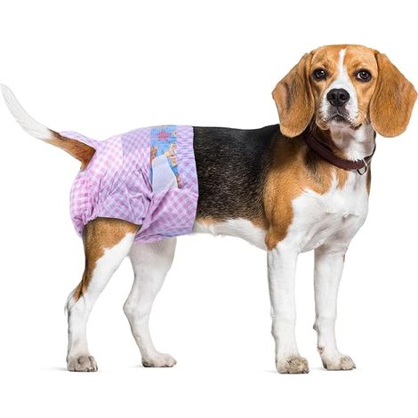 Disposable Female Dog Diapers, M , Disposable Daily Panties, Home Cleanliness, Waist 30-50 cm, Absorbent and Leak-Proof with Indicator, Cat Diaper (1/5)