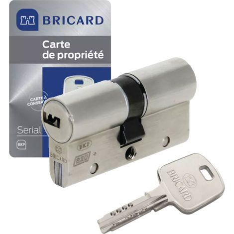 Bricard – Cylindre de serrure double entrée 30 x 45 mm – Acier renforcé – 4 clés – A2P 1 étoile – Protection anti-crochetage et anti-bumping