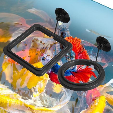 Set of 2 Feeding Rings, Flexible Connector, Suction Cups, Polypropylene, For Aquarium Fish Turtles (1/5)