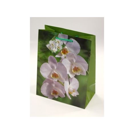 tg-20 sacchetto regalo di carta decorativo